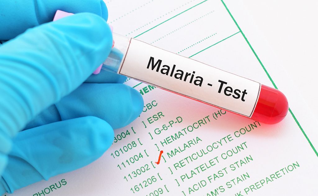 Top Tips On How To Avoid Malaria